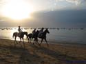 SANLUCAR DE BARRAMEDA 149 CARRERAS DE CABALLOS