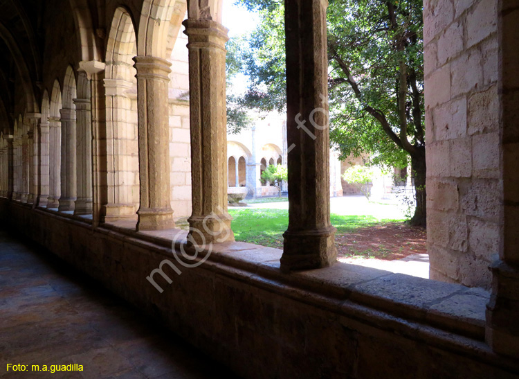 SANTANDER (186) - Catedral