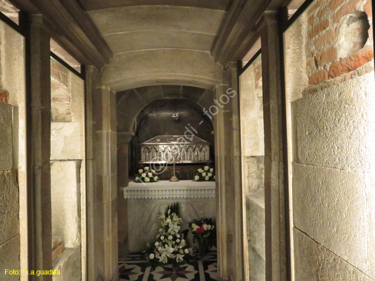 SANTIAGO DE COMPOSTELA (236) Catedral