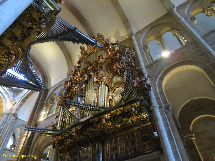 SANTIAGO DE COMPOSTELA (286) Catedral