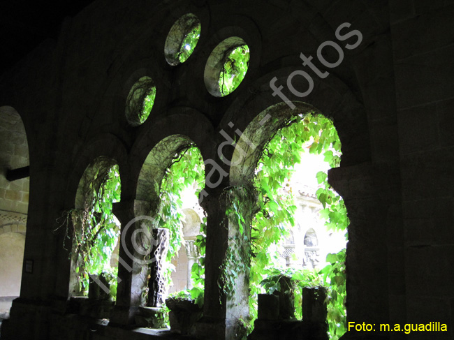 SANTILLANA DEL MAR (145)