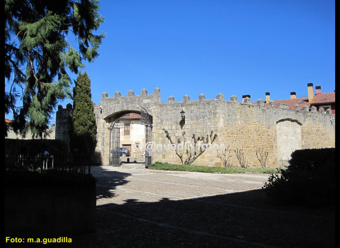 SANTO DOMINGO DE SILOS (175)