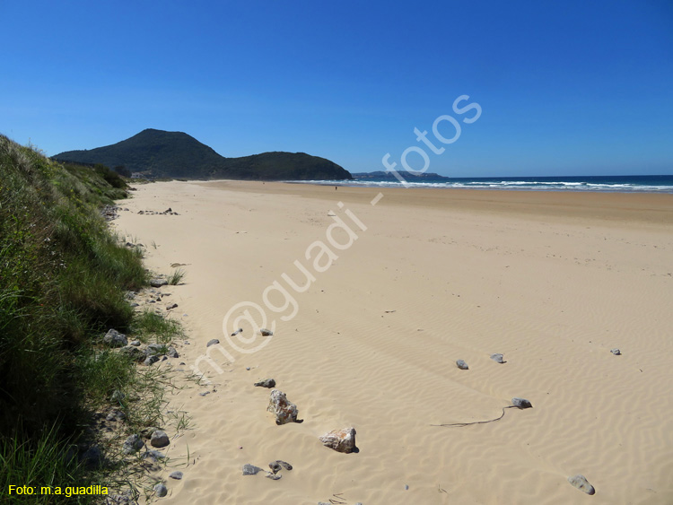 SANTOnA (122) - Playa de Berria