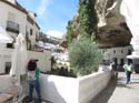 SETENIL DE LAS BODEGAS (170) Calle Cuevas de Sol