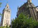 SEVILLA (148) Catedral