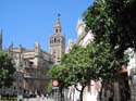 SEVILLA (157) La Giralda