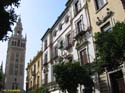 SEVILLA (158) La Giralda