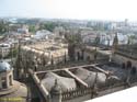 SEVILLA (165) Vista desde La Giralda