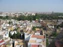 SEVILLA (169) Vista desde La Giralda