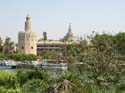 SEVILLA (287) Torre del Oro