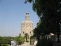 SEVILLA (290) Torre del Oro