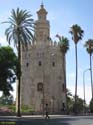SEVILLA (294) Torre del Oro
