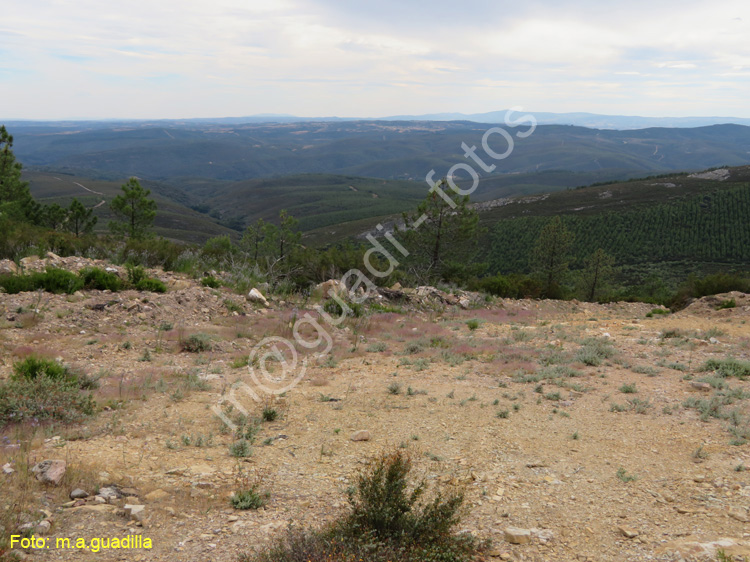 Sierra de la Culebra (110) PeNa Mira