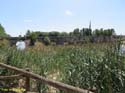 SIMANCAS (208)