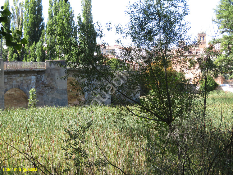 SORIA (142) Puente Medieval