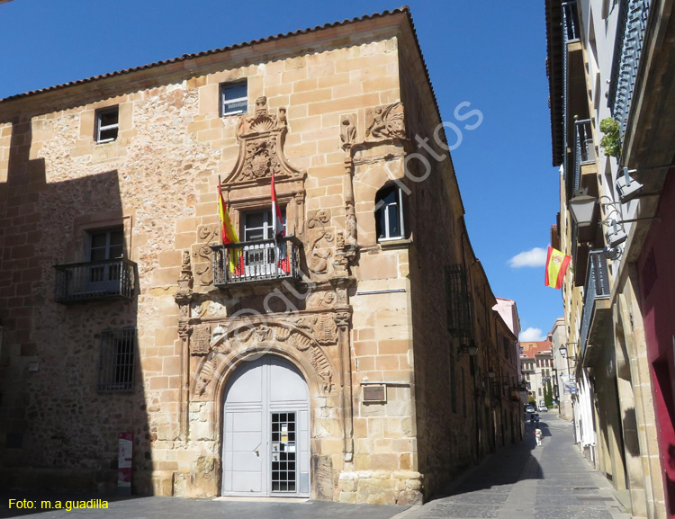 SORIA (209) Palacio de los Rio Y salcedo