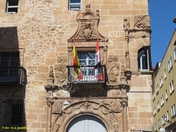 SORIA (210) Palacio de los Rio Y salcedo