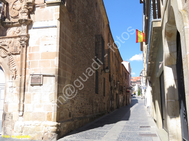 SORIA (211) Palacio de los Rio Y salcedo