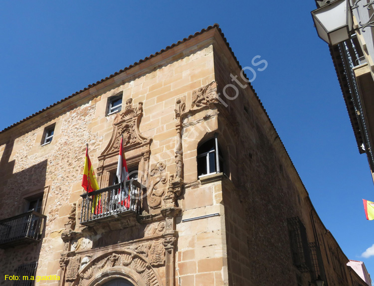 SORIA (212) Palacio de los Rio Y salcedo