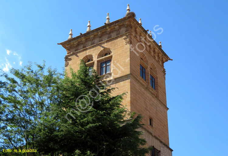 SORIA (248) Palacio de los Condes de Gomara