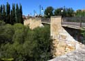 SORIA (140) Puente Medieval
