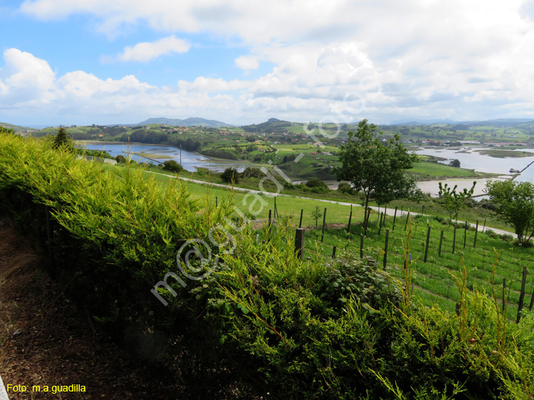 SUANCES (133) - Rio Saja