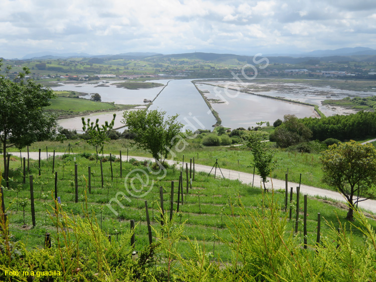 SUANCES (134) - Rio Saja