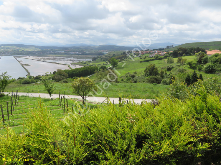 SUANCES (135) - Rio Saja