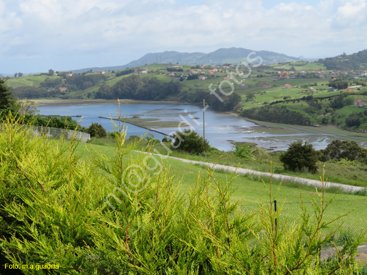 SUANCES (136) - Rio Saja