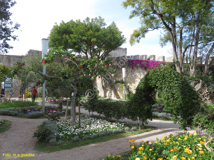 TAVIRA (120)