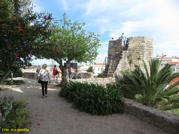 TAVIRA (121)