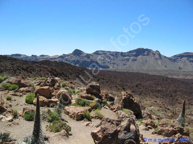 EL TEIDE - TENERIFE 019