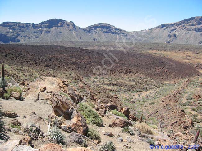 EL TEIDE - TENERIFE 021