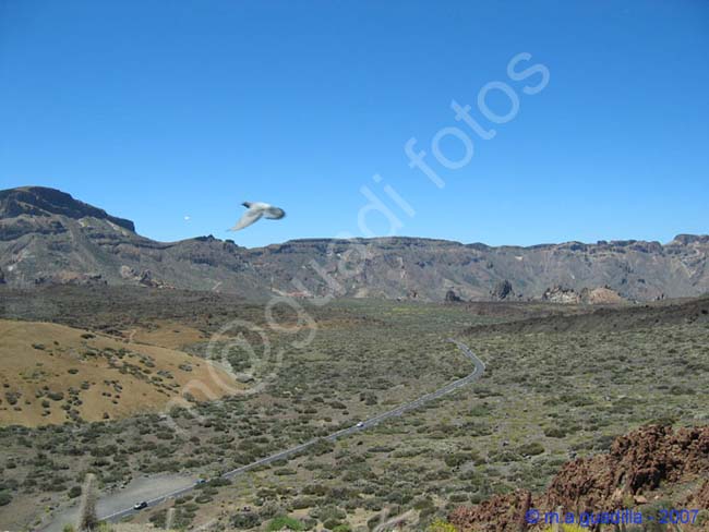 EL TEIDE - TENERIFE 031