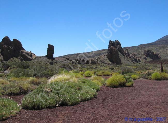 EL TEIDE - TENERIFE 065