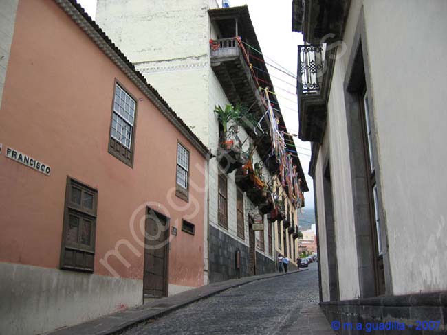 LA OROTAVA - TENERIFE 021