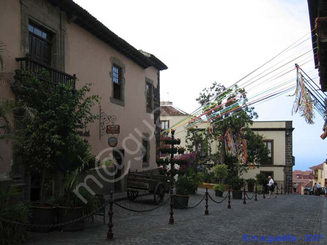 LA OROTAVA - TENERIFE 050