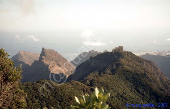 PICO DEL INGLES - TENERIFE 003