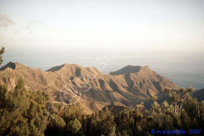 PICO DEL INGLES - TENERIFE 005