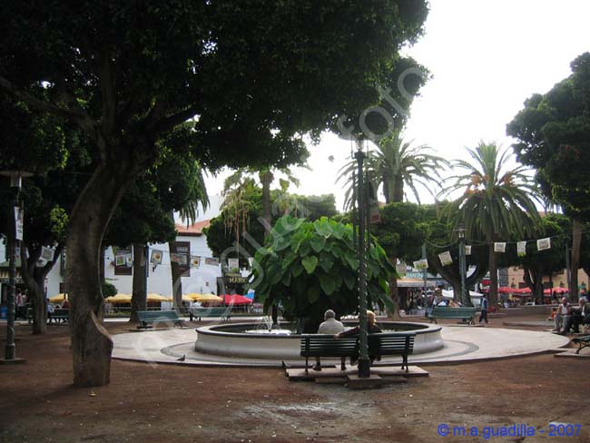 PUERTO DE LA CRUZ - TENERIFE 022 Plaza del Charco