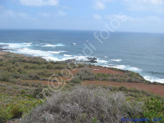 PUNTA DEL HIDALGO - TENERIFE 002