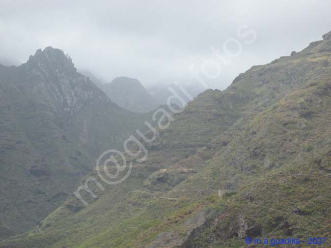 PUNTA DEL HIDALGO - TENERIFE 005