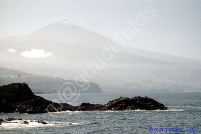 TACORONTE - TENERIFE