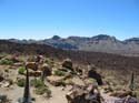 EL TEIDE - TENERIFE 019