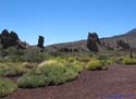 EL TEIDE - TENERIFE 065