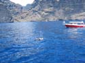 LOS GIGANTES - TENERIFE 045