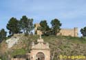 TOLEDO - Puente de Alcantara 006