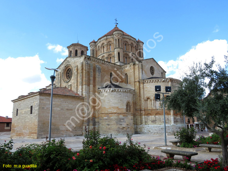 TORO (127) COLEGIATA DE SANTA MARIA LA MAYOR