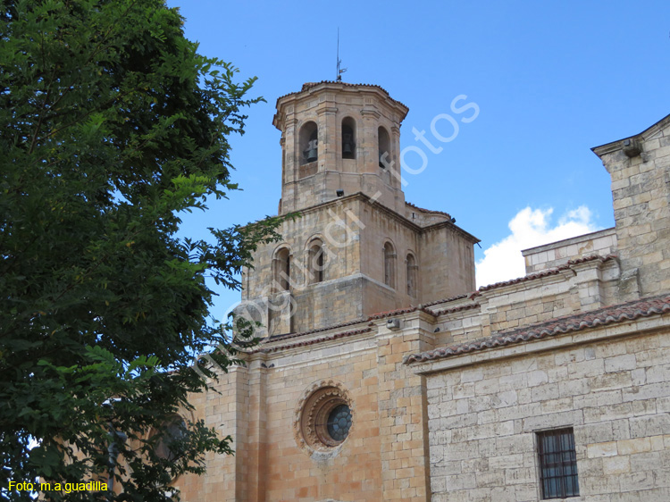 TORO (133) COLEGIATA DE SANTA MARIA LA MAYOR