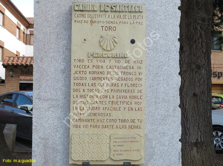 TORO (139) COLEGIATA DE SANTA MARIA LA MAYOR
